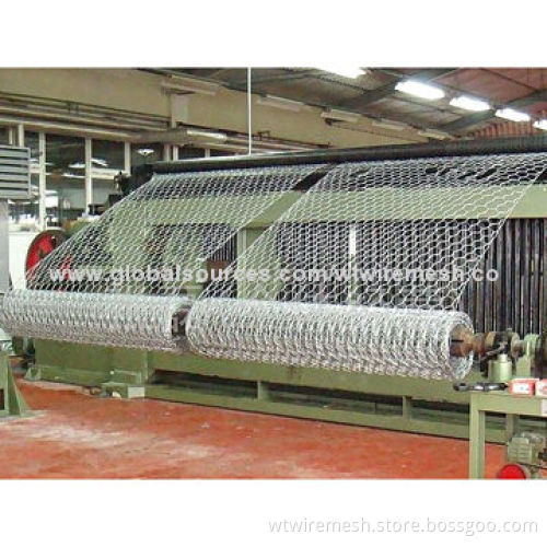 Galvanized Hexagonal Wire Netting, Twist Wire Mesh